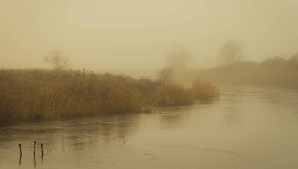 Фотографія Над рекой опускался туман... / Загороднюк Юрий / photographers.ua
