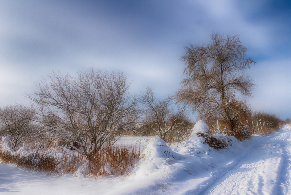 Фотографія В гостях у зимней сказки! / Загороднюк Юрий / photographers.ua