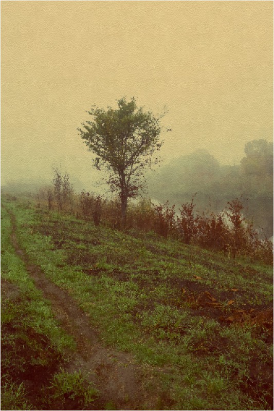Фотографія Осень,пейзаж,дерево у реки... / Загороднюк Юрий / photographers.ua