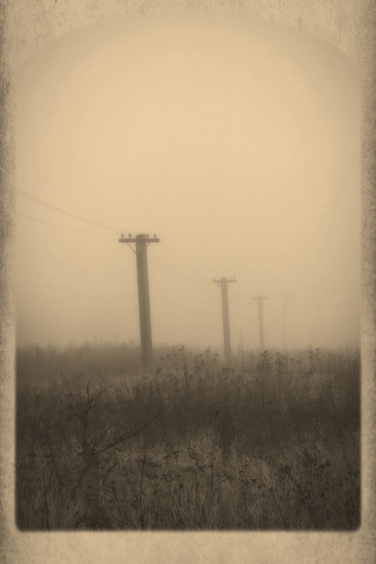 Фотографія Узники тумана... / Загороднюк Юрий / photographers.ua