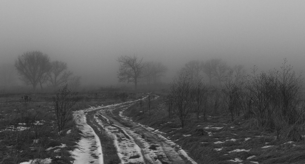 Фотографія Дорога в туман... / Загороднюк Юрий / photographers.ua