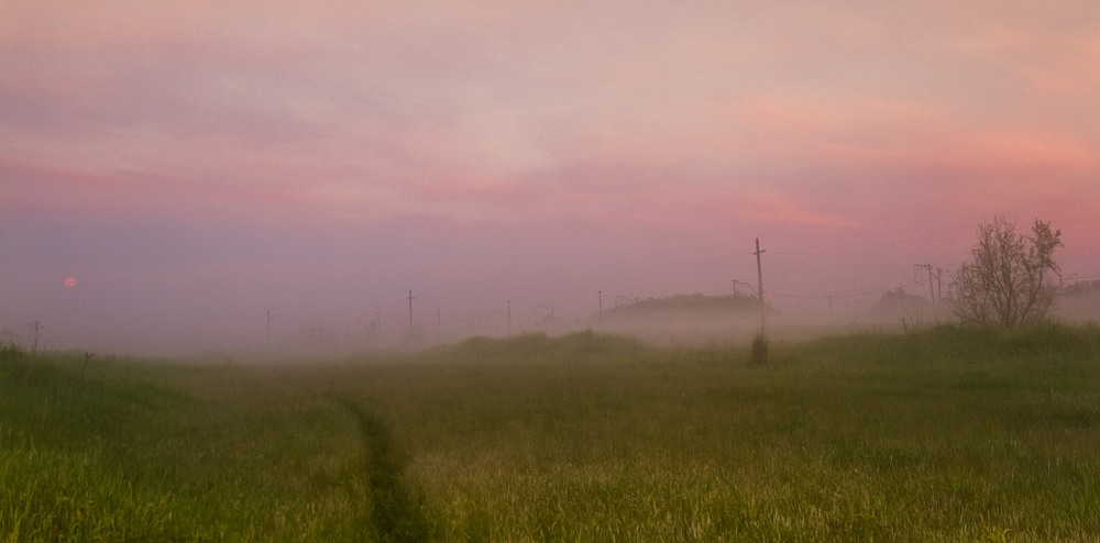 Фотографія Ранковий туман... / Загороднюк Юрий / photographers.ua