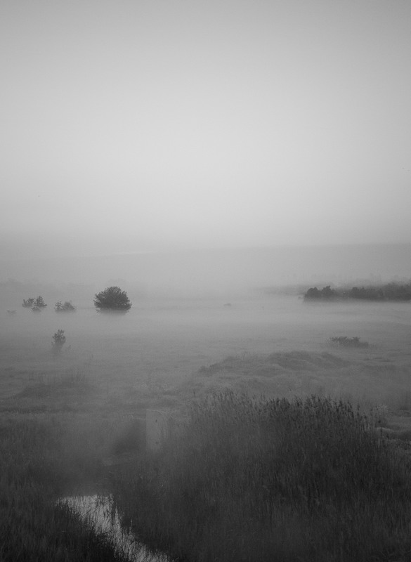Фотографія Сегодня к нам пришел туман 2... / Загороднюк Юрий / photographers.ua