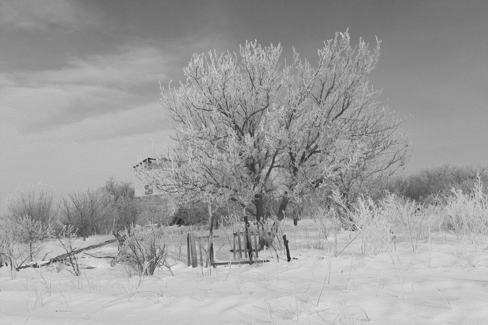 Фотографія Черно-белая зима:) / Загороднюк Юрий / photographers.ua