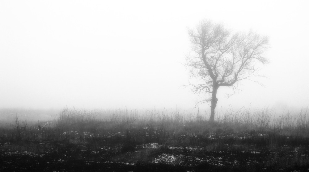 Фотографія Туманом землю всю укрыло... / Загороднюк Юрий / photographers.ua