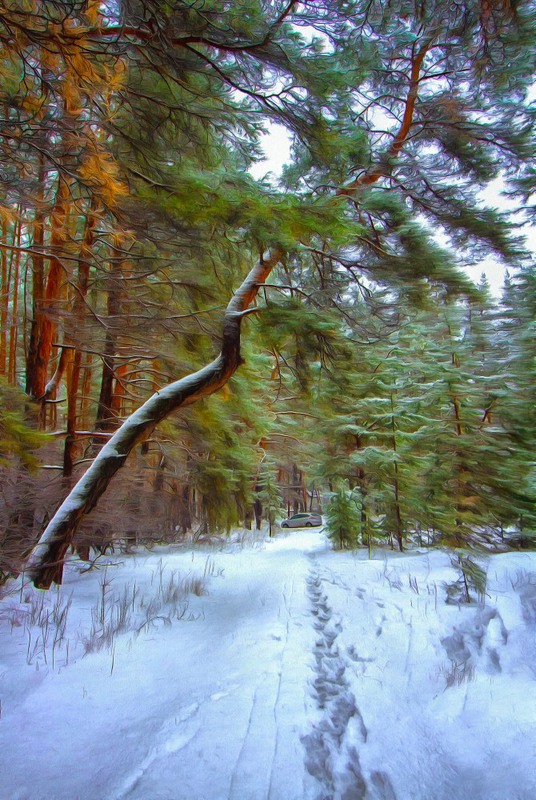 Фотографія Хорошо в лесу зимой... / Загороднюк Юрий / photographers.ua