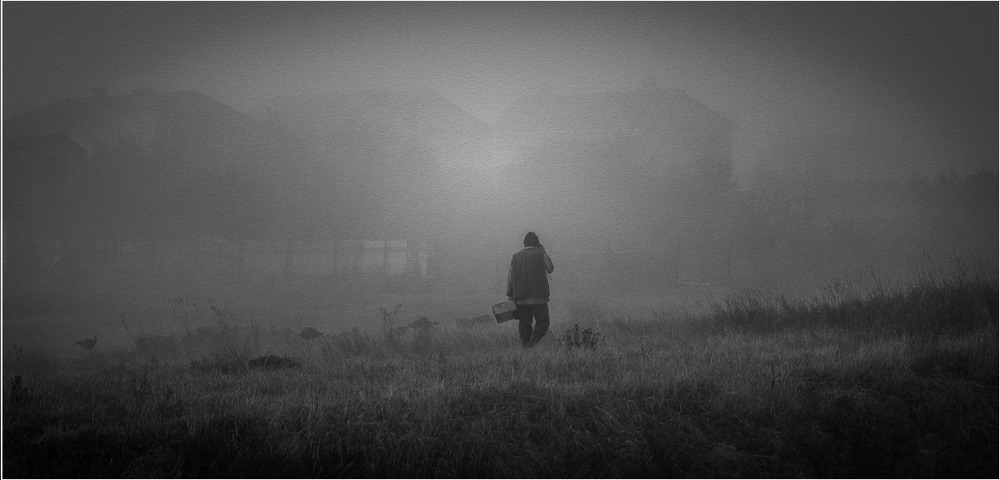 Фотографія "Такой туман упал вчера 2..." / Загороднюк Юрий / photographers.ua