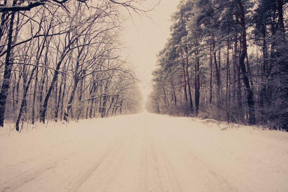Фотографія В зимний лес уютная дорога:) / Загороднюк Юрий / photographers.ua