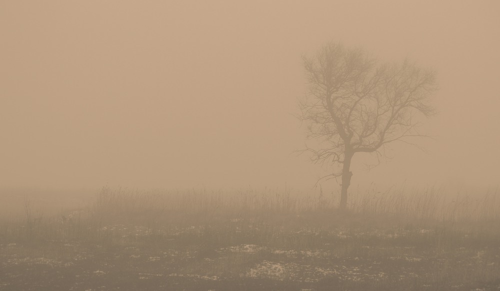 Фотографія В туманной тишине... / Загороднюк Юрий / photographers.ua