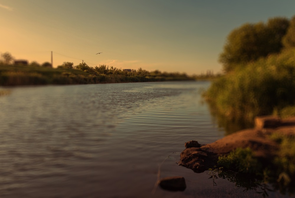 Фотографія "Летний вечер на берегу реки"... / Загороднюк Юрий / photographers.ua