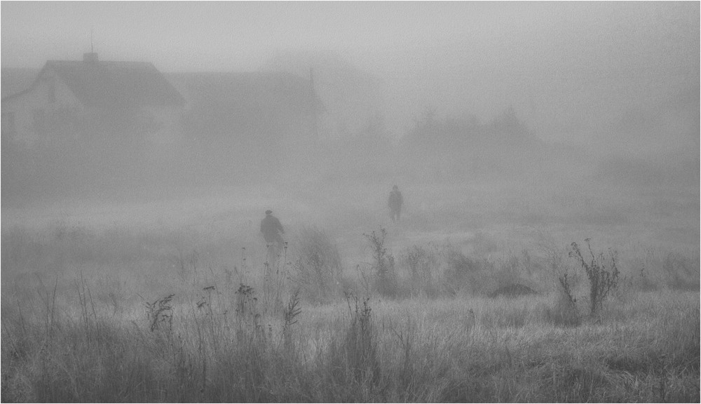 Фотографія Встреча в тумане 2... / Загороднюк Юрий / photographers.ua