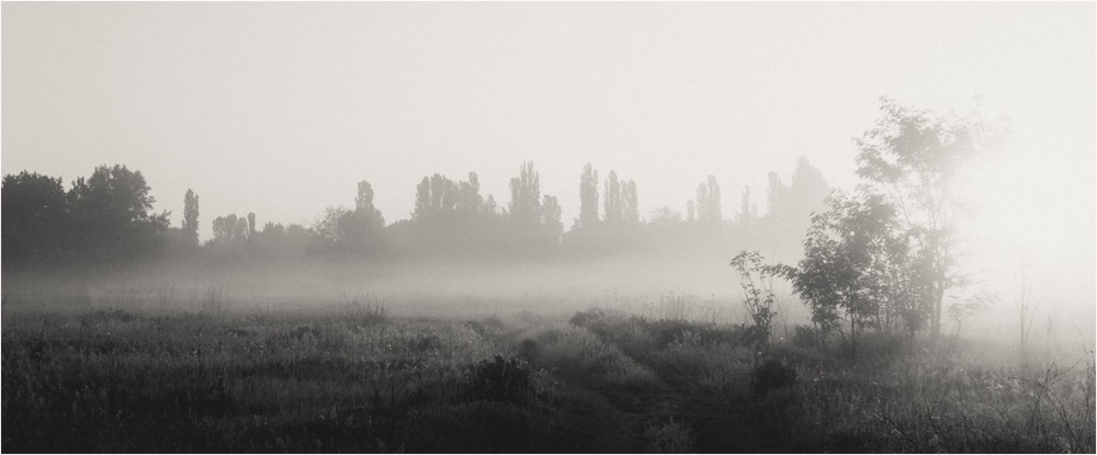Фотографія Туманное утро... / Загороднюк Юрий / photographers.ua
