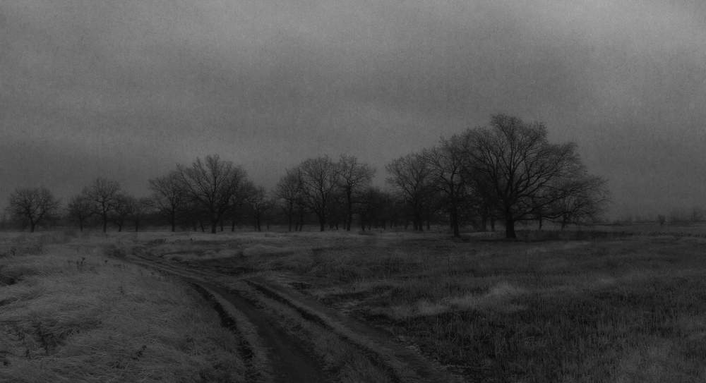 Фотографія Черно- белая осень мне под утро приснилась… / Загороднюк Юрий / photographers.ua