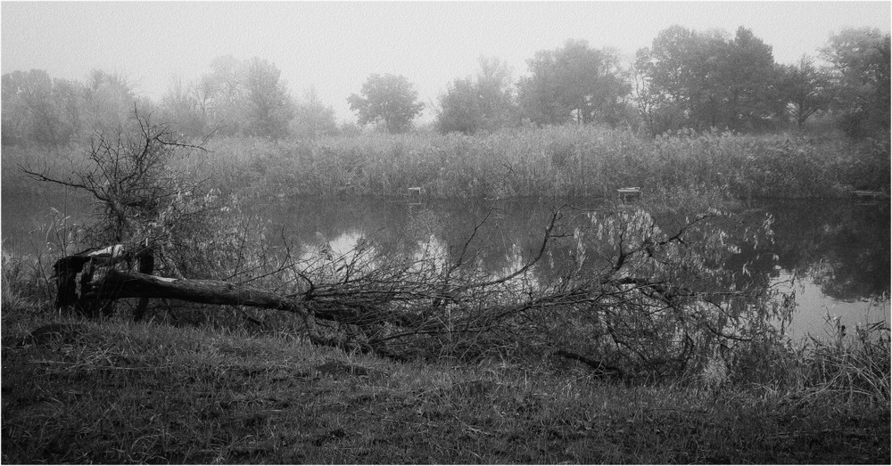 Фотографія Пейзаж с деревом 2... / Загороднюк Юрий / photographers.ua
