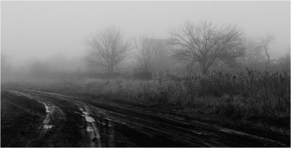 Фотографія Пейзаж с Туманом... / Загороднюк Юрий / photographers.ua