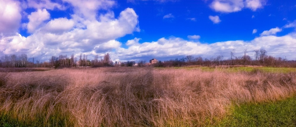 Фотографія Весенний простор... / Загороднюк Юрий / photographers.ua