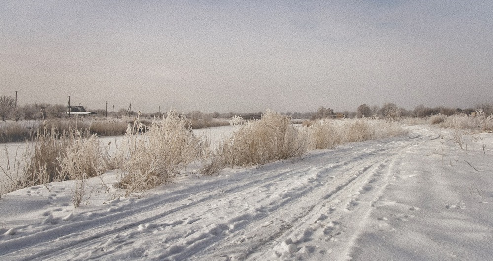 Фотографія На белом покрывале января... / Загороднюк Юрий / photographers.ua