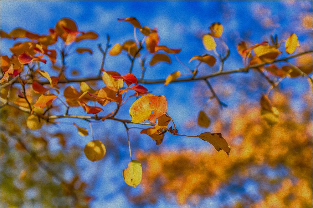 Фотографія Осень-Красавица! / Загороднюк Юрий / photographers.ua