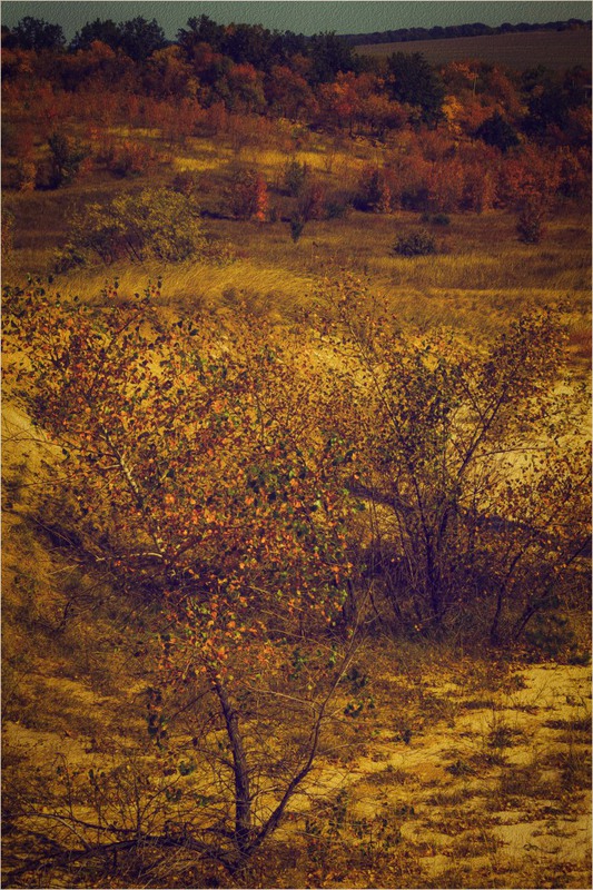 Фотографія Осенний пейзаж! / Загороднюк Юрий / photographers.ua