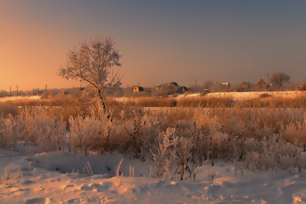Фотографія Мороз и солнце; день чудесный! / Загороднюк Юрий / photographers.ua