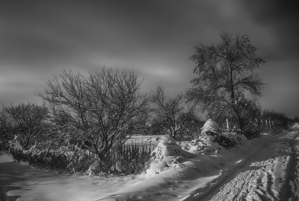 Фотографія Настроение зима... / Загороднюк Юрий / photographers.ua