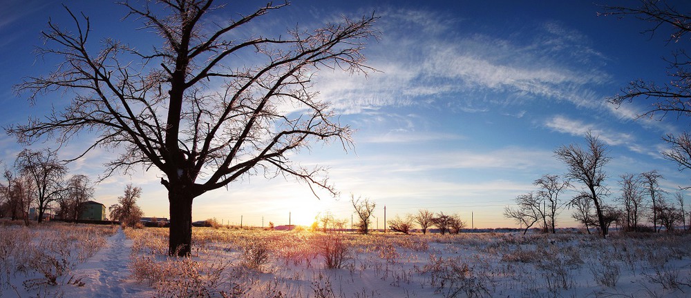 Фотографія winter / Sergey Zhigalko / photographers.ua