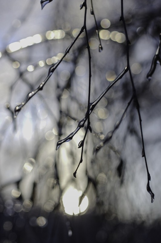 Фотографія Разное / Олег Печенежский / photographers.ua