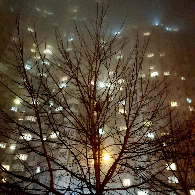 Фотографія Туман... / Олег Печенежский / photographers.ua