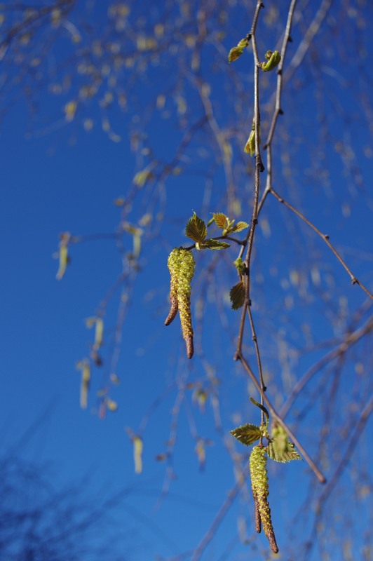 Фотографія Пейзаж / Олег Печенежский / photographers.ua