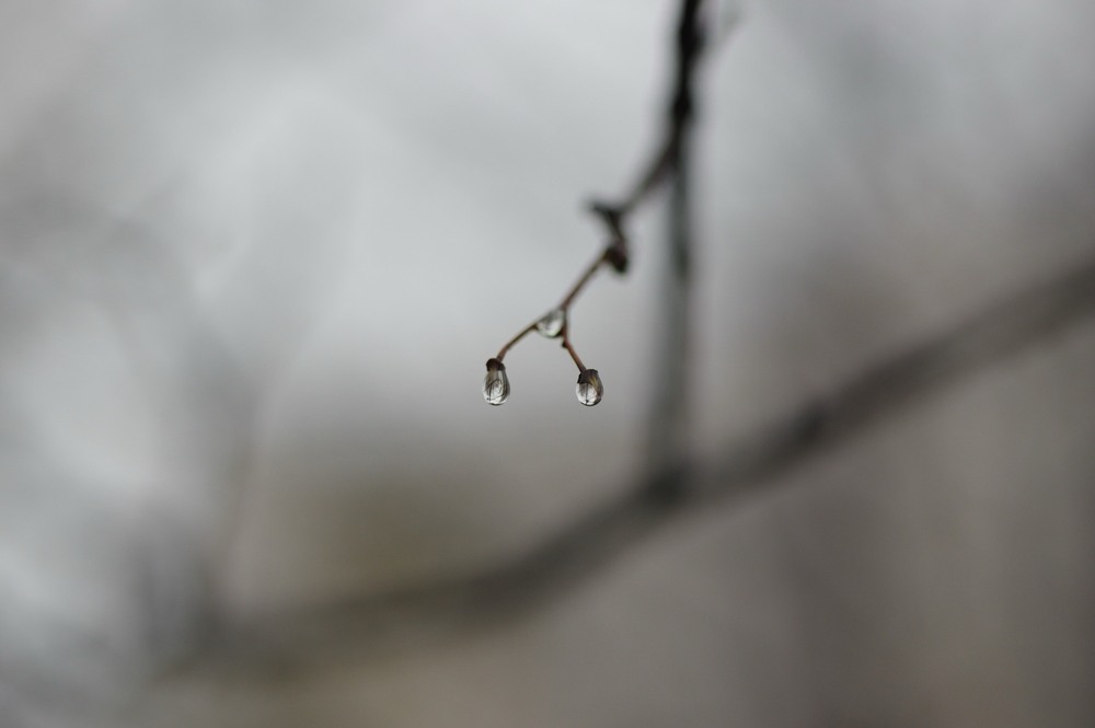 Фотографія ... / Олег Печенежский / photographers.ua