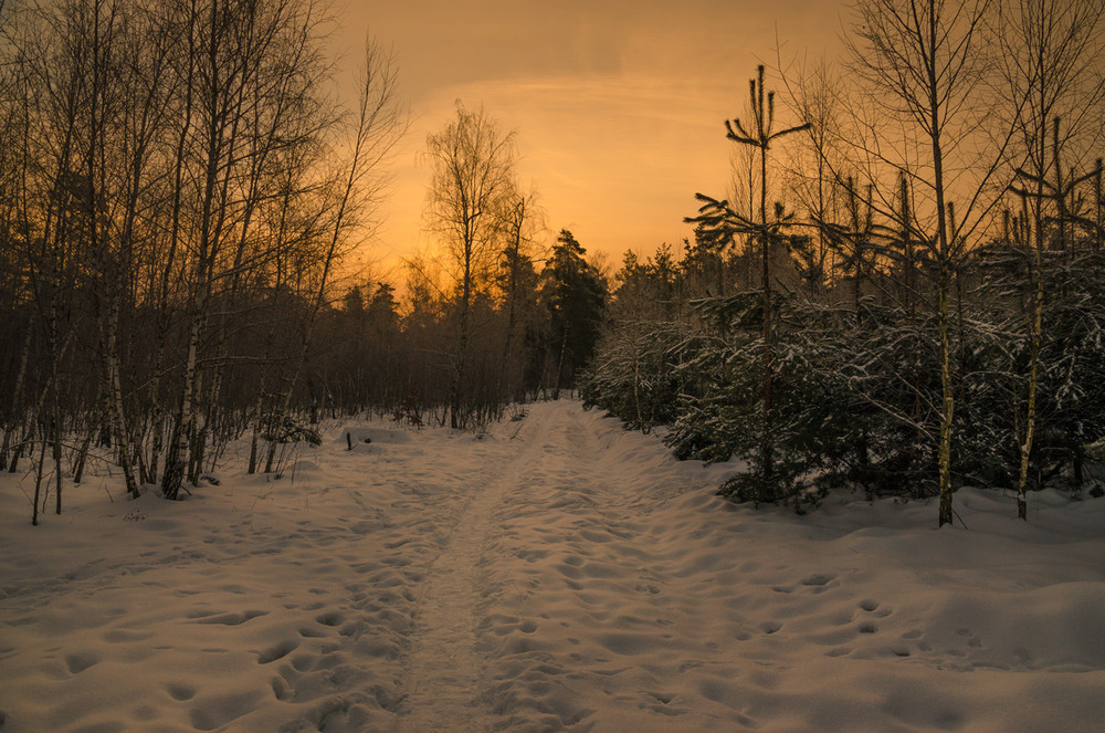 Фотографія Таинство зимнего восхода / Галанзовская Оксана / photographers.ua