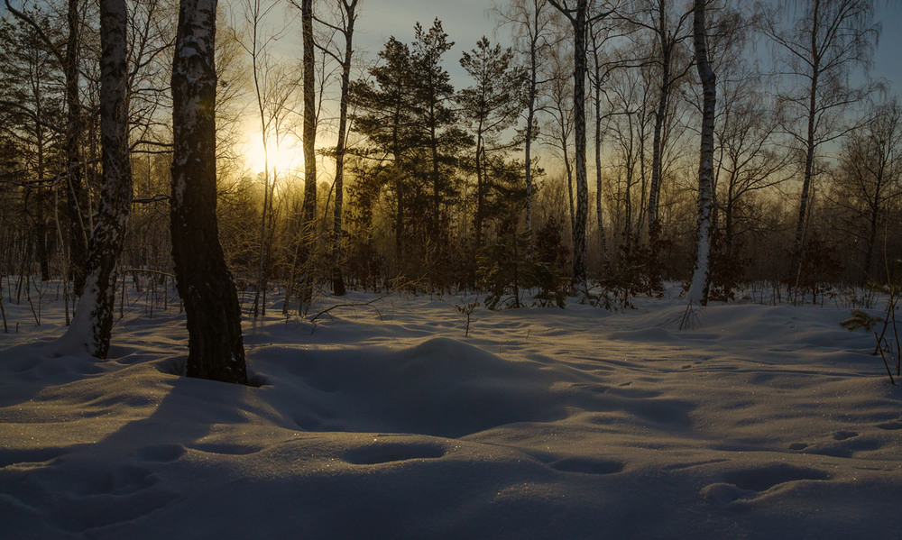 Фотографія Winter brilliants / Галанзовская Оксана / photographers.ua