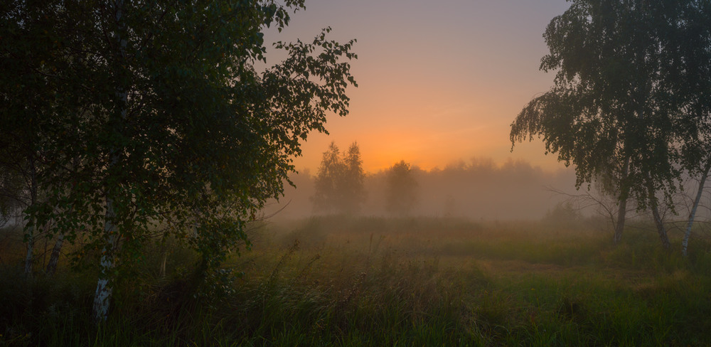Фотографія Летний луг тумана полон / Галанзовская Оксана / photographers.ua