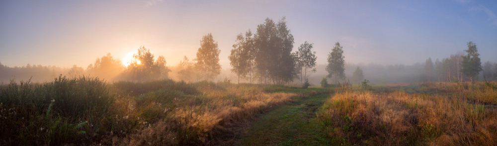 Фотографія І зачарує луг і ліс світанок променистий / Галанзовская Оксана / photographers.ua