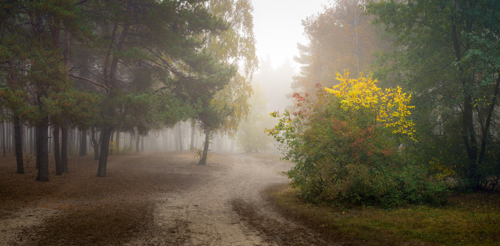 Фотографія Утро туманом влажно дышало / Галанзовская Оксана / photographers.ua