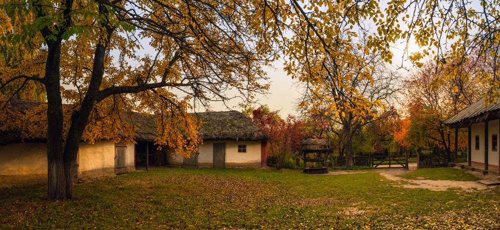 Фотографія Осенний вечер в Пирогово / Галанзовская Оксана / photographers.ua