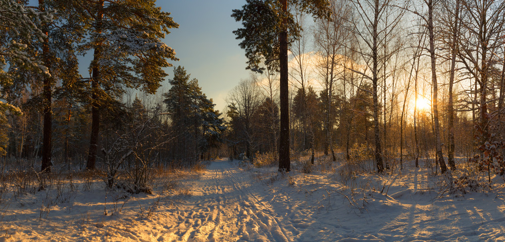 Фотографія В объятьях зимнего рассвета / Галанзовская Оксана / photographers.ua