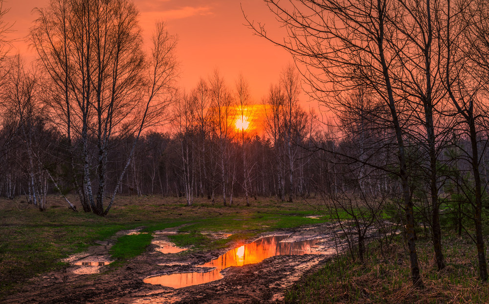 Фотографія В красках апрельского заката / Галанзовская Оксана / photographers.ua