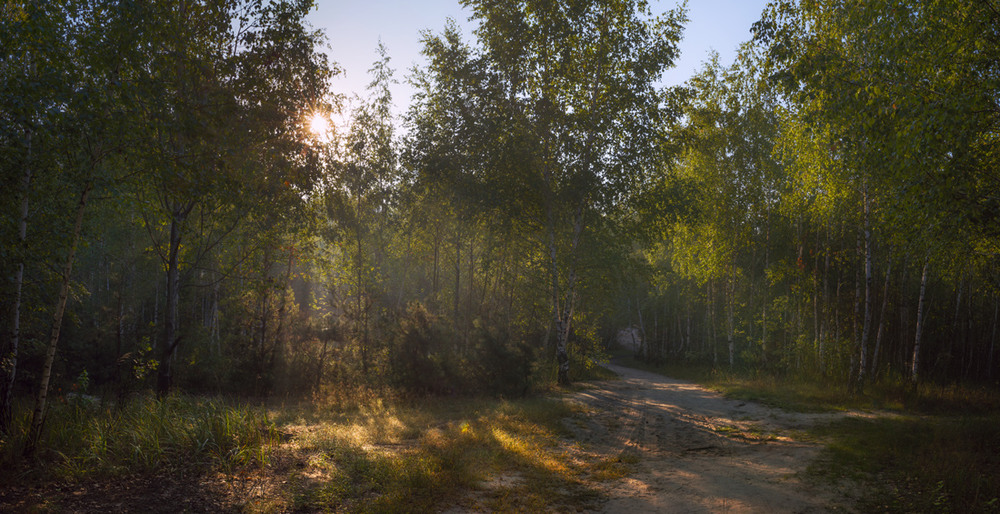 Фотографія Утро в лесу, сентябрь / Галанзовская Оксана / photographers.ua