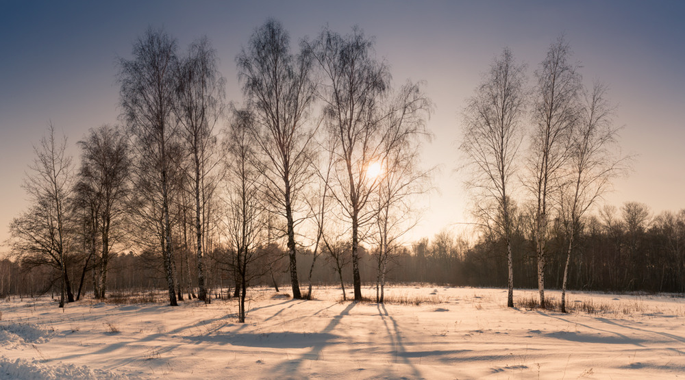Фотографія Солнце клонилось к закату, мороз крепчал / Галанзовская Оксана / photographers.ua