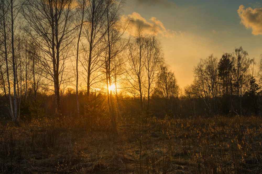 Фотографія Янтарный закат / Галанзовская Оксана / photographers.ua
