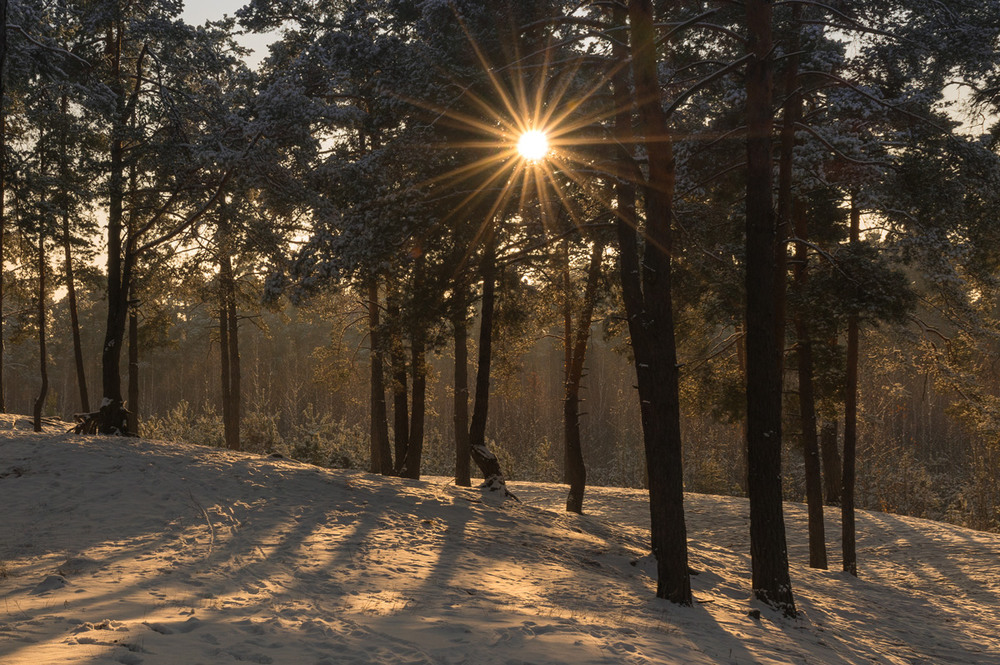 Фотографія Мороз и солнце... / Галанзовская Оксана / photographers.ua