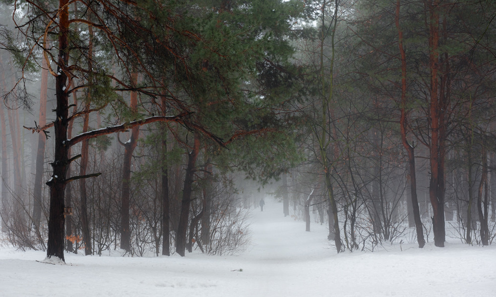 Фотографія Туманной зимнею порою / Галанзовская Оксана / photographers.ua