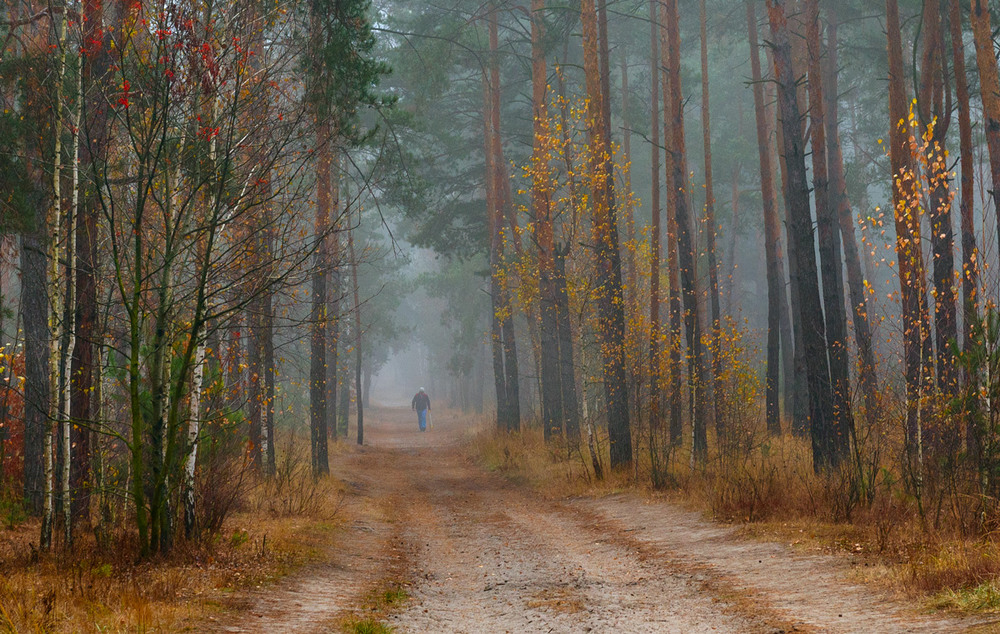 Фотографія Осеннею тропой, в вечерней тишине / Галанзовская Оксана / photographers.ua