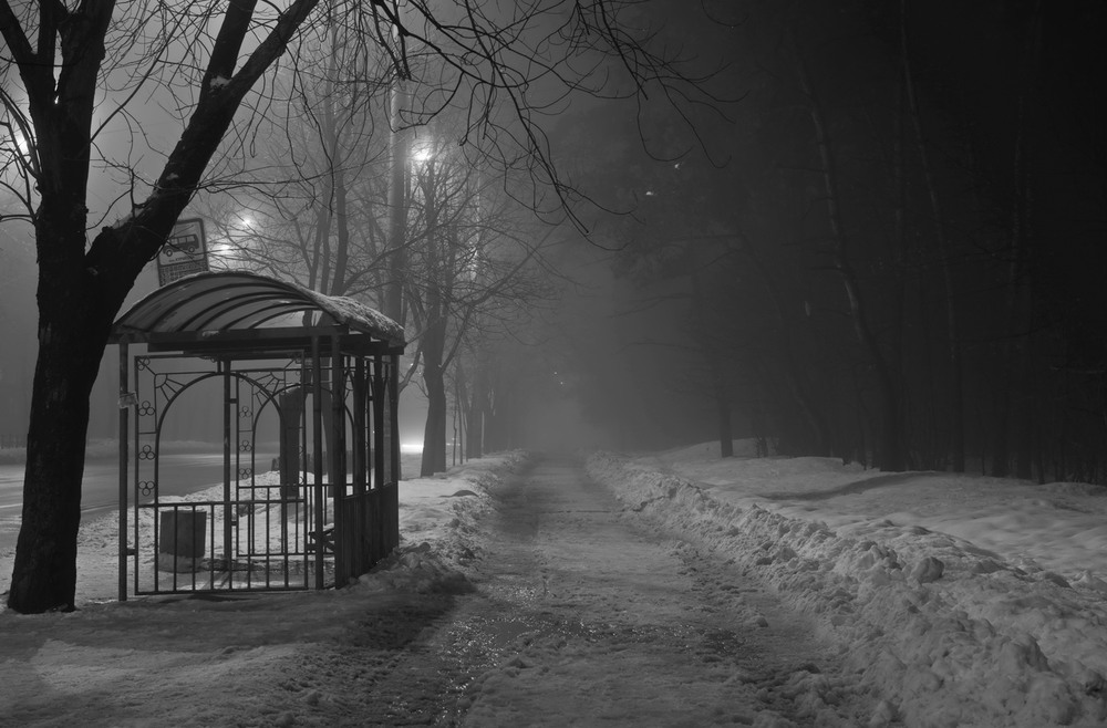 Фотографія Ночь тиха, замолчала природа / Галанзовская Оксана / photographers.ua