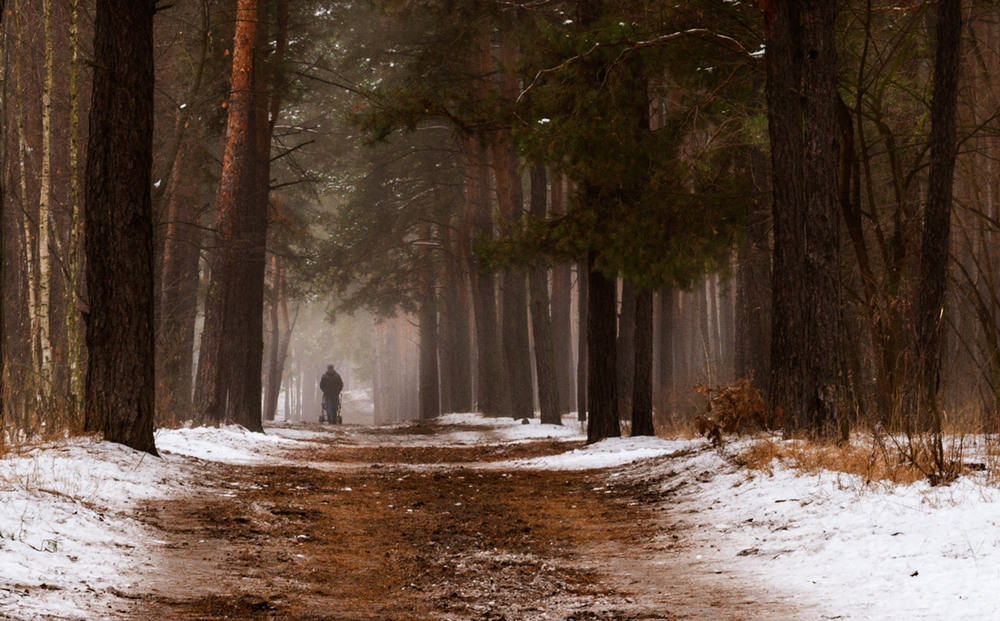 Фотографія Декабрьской туманной тропой / Галанзовская Оксана / photographers.ua