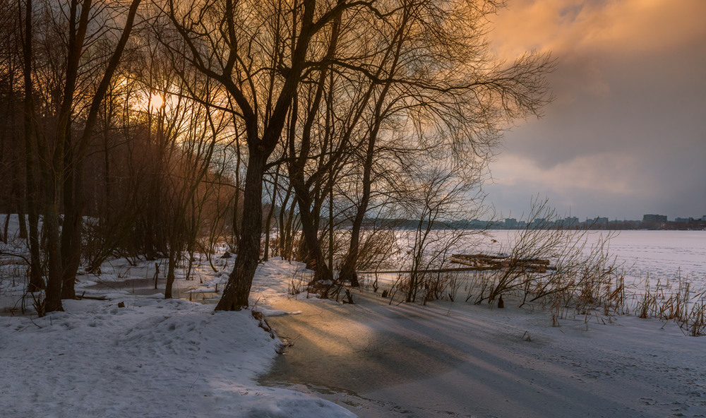 Фотографія День догорал, солнце садилось за лесом / Галанзовская Оксана / photographers.ua