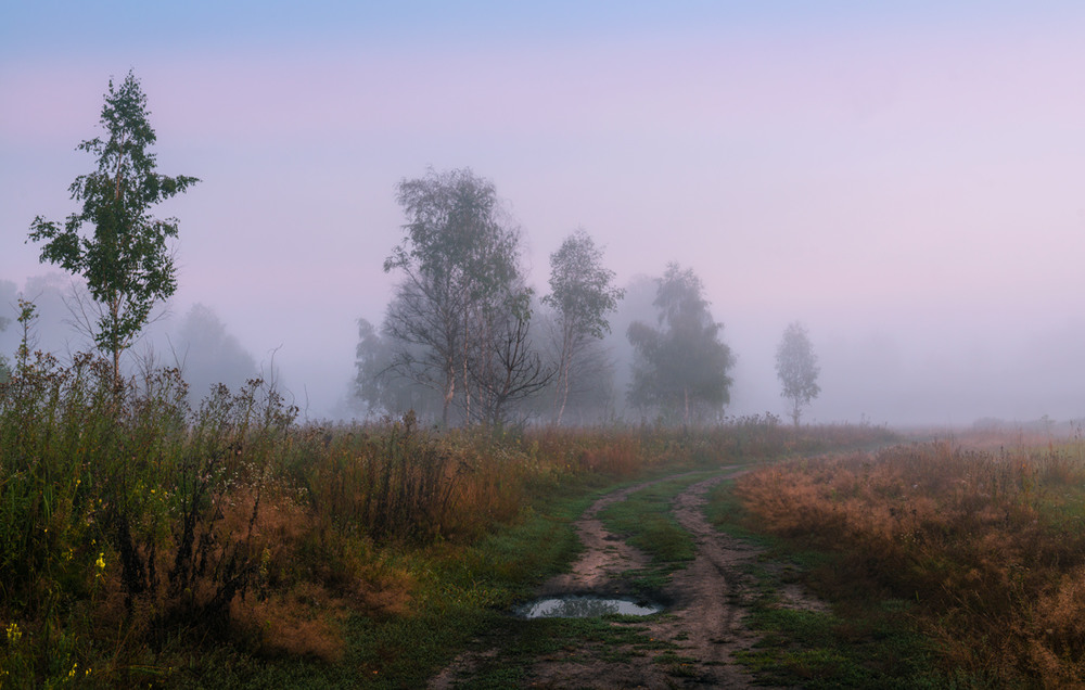 Фотографія Просыпается луг, околдованный белым туманом / Галанзовская Оксана / photographers.ua