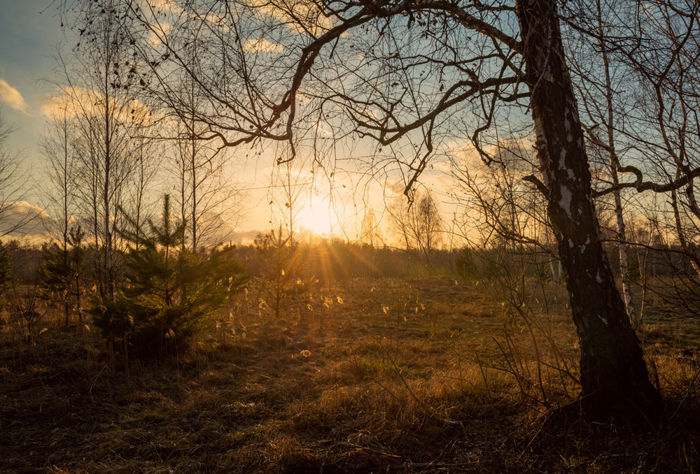 Фотографія Солнца закат золотистый / Галанзовская Оксана / photographers.ua