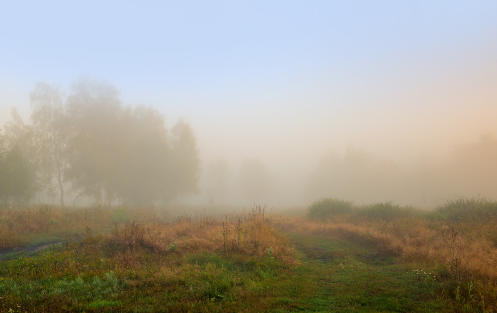 Фотографія Рассветный час, туман всё не уходит / Галанзовская Оксана / photographers.ua